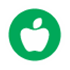 Nutrition Icon