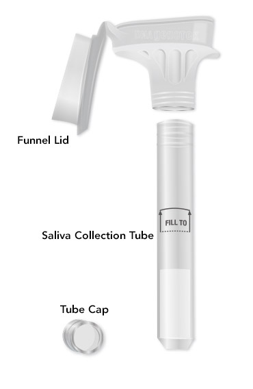 Saliva Kit