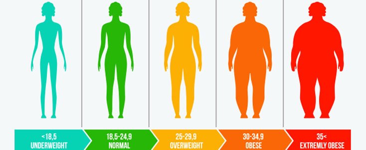 Are Your Genes Making You OBESE