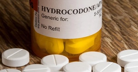 Is Hydrocodone the Drug For You?