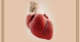 Beware of Coronary Heart Disease