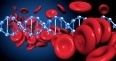 Blood Cancer Causes & Risk Factors