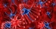 Blood Cancer - Overview