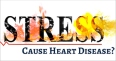 Does Stress Cause Heart Disease? Know the Facts
