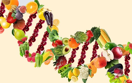 How Nutrigenomics Plan Effective On Healthy Diet