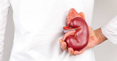 Kidney Functions, Diseases, Symptoms & Prevention