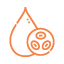 ANEMIA PROFILE - ADVANCED