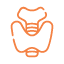 JAANCH - THYROID PROFILE BASIC