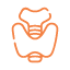 THYROID STIMULATING HORMONE (TSH)