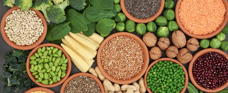 Antioxidant Requirement and Genetics