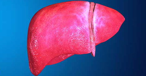 Fatty Liver Disease Types, Risk Factors, & Prevention