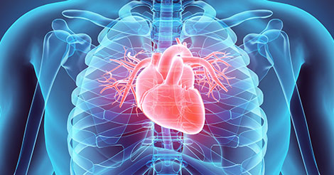 Heart Attack Facts & Awareness