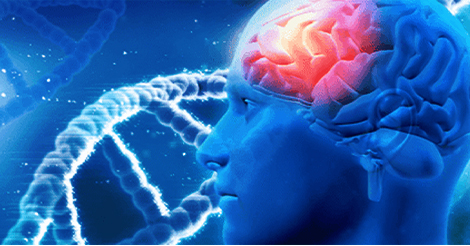 Genetic Testing For Alzheimer’s Disease