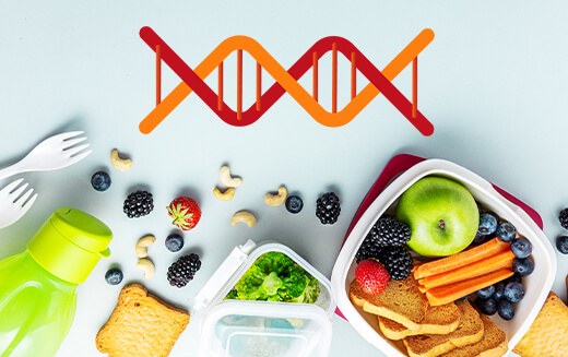 Genetic Testing the Best Guide for Customized Diet