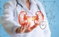 How to Find Out About Your Kidneys Health and Functioning