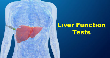 Liver Function Tests Sgot Sgpt Alt Ast Ggt Ld