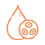 Albumin