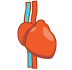 Cardiovascular/ Metabolic And Muscle Profile