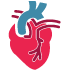 Cardiovascular And Cerebral Diseases