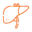 ASPARTATE AMINOTRANSFERASE (SGOT )