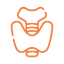 TOTAL THYROXINE (T4)