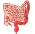 Gastrointestinal Disorders